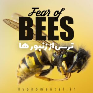 ترس از زنبورها