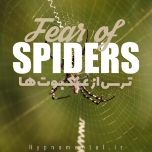 با هیپنوتیزم برای همیشه ترس از عنکبوت را کنار بگذارید
