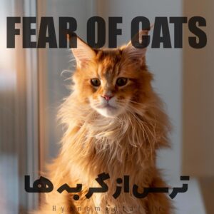 ترس از گربه ها
